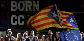 tribunal constitucional