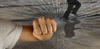 Detenidos integrantes de diferentes bandas latinas de atracadores en Madrid