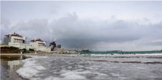 Costas chilenas bajo alerta sanitaria por industrias en la zona