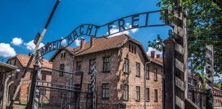 Joven que justifico el Holocausto fue absuelta