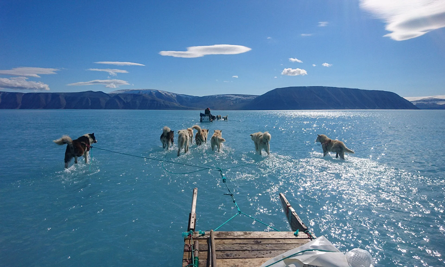 La foto de unos perros en Groenlandia que muestra la velocidad a la que se derrite la capa de hielo