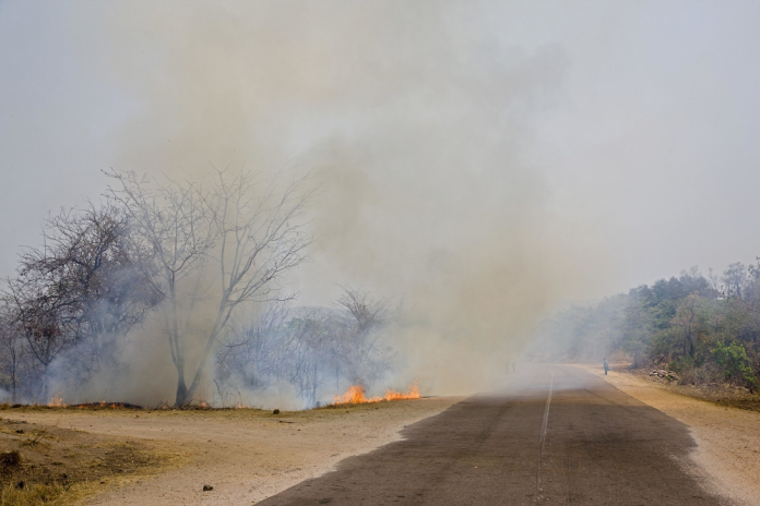 Incendios en el Amazonas: Hay más incendios en África que en Brasil