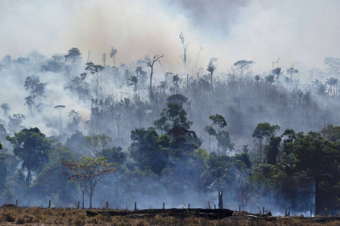 Nuevos incendios en la Amazonía de Brasil pese a prohibición de quema de Jair Bolsonaro