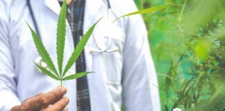 consumo legal de cannabis en España