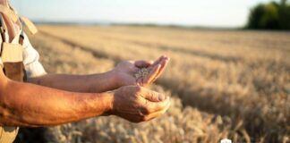 conseguir financiación en tiempos de crisis